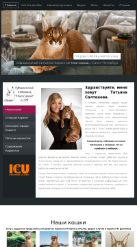 Купить котёнка каракета Купить котёнка каракета